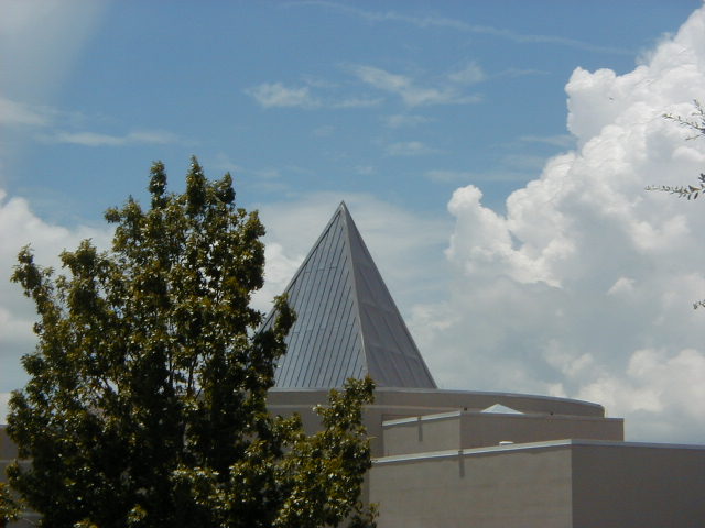 Harn Museum cover